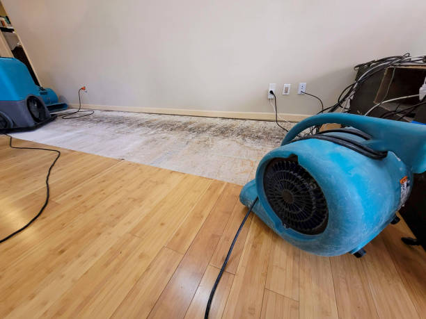 Professional Emergency Water Damage technician working in Bridgeport, IL